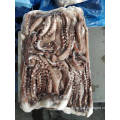 Giant squid entacle 10kg per block frozen with blue poly bag